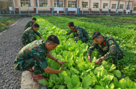 Nét đẹp tăng gia sản xuất