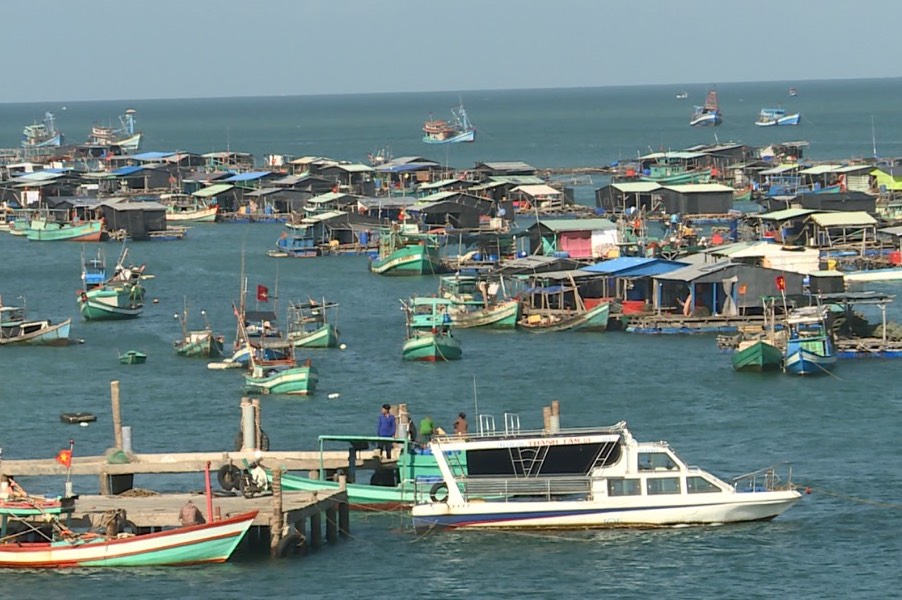 Làng nuôi cá lồng bè tại xã Hòn Nghệ, huyện Kiên Lương.