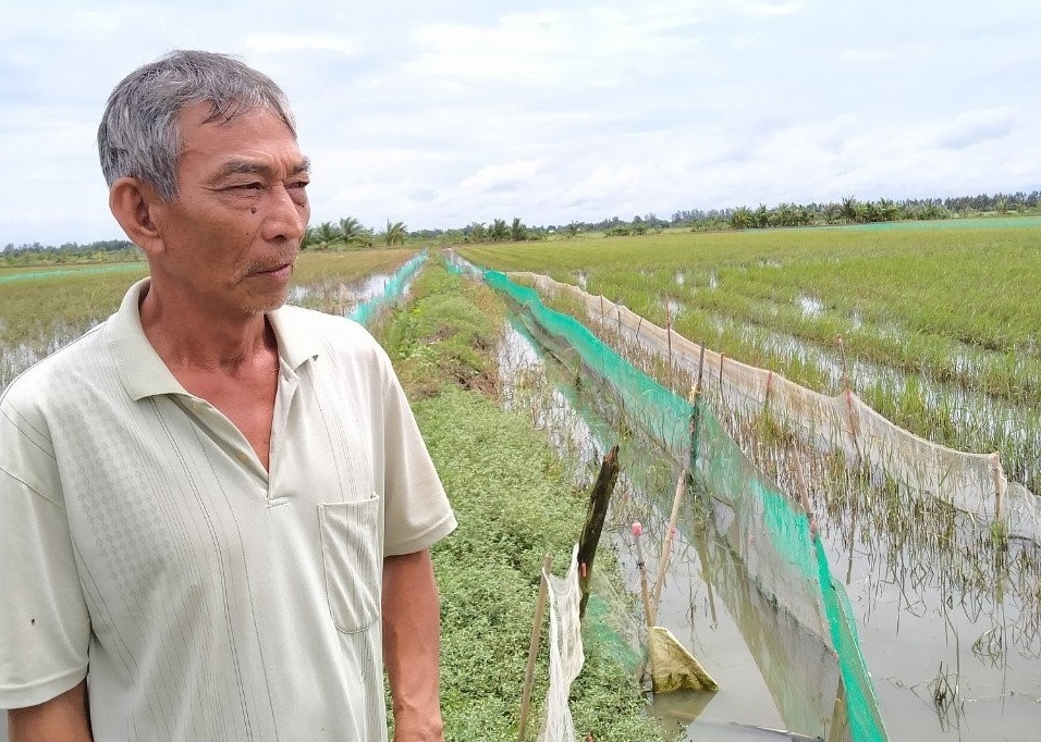 Ông Nguyễn Văn Thôi, ngụ ấp 6, xã Vĩnh Hòa Hưng Bắc giới thiệu mô hình nuôi cá trên ruộng của gia đình.